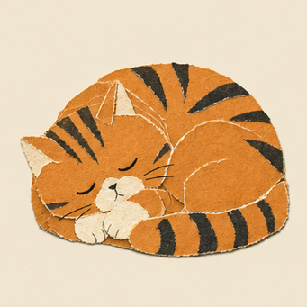 A cat you can meet in Noot (2 of 18)