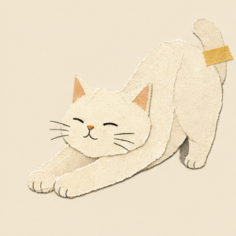 A cat you can meet in Noot (4 of 18)