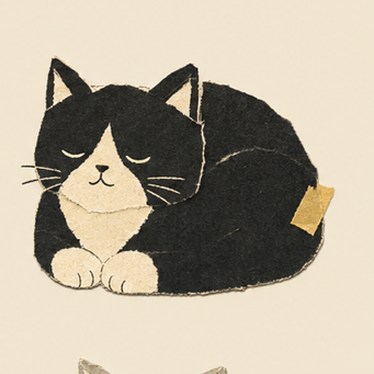 A cat you can meet in Noot (6 of 18)