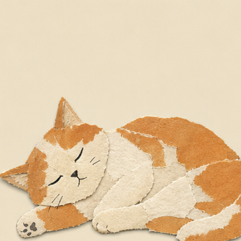 A cat you can meet in Noot (11 of 18)