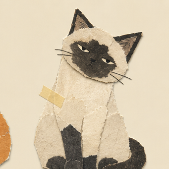 A cat you can meet in Noot (12 of 18)